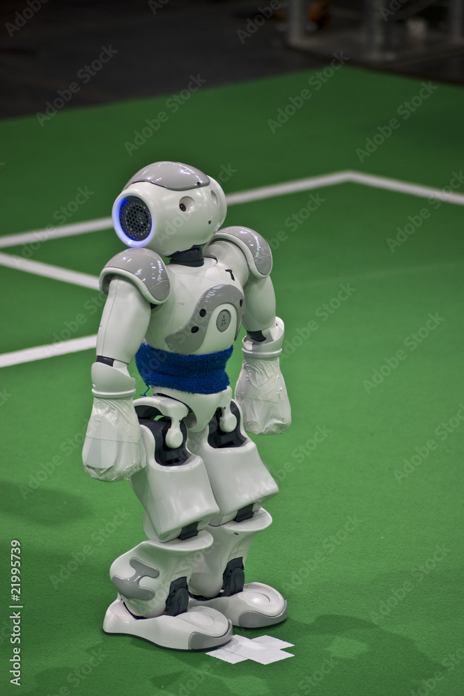 Fototapeta premium Roboter