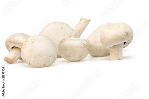 Mushroom isolated on white