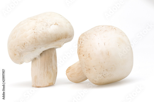 Mushroom isolated