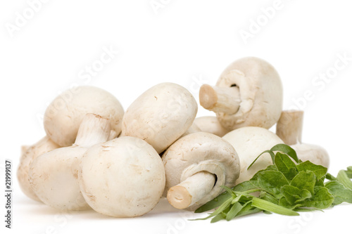 Mushroom with tarragon