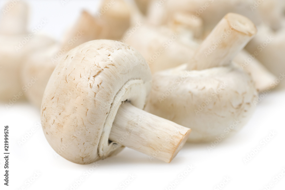 Mushrooms Mushrooms