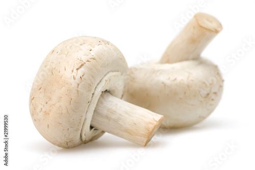 Musroom on white