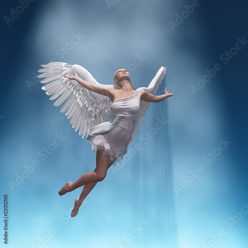 Εκτύπωση καμβά rising angel