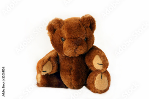 Fuzzy Brown Teddy Bear