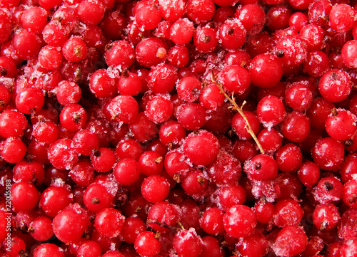 Berries   currant  frozen  red