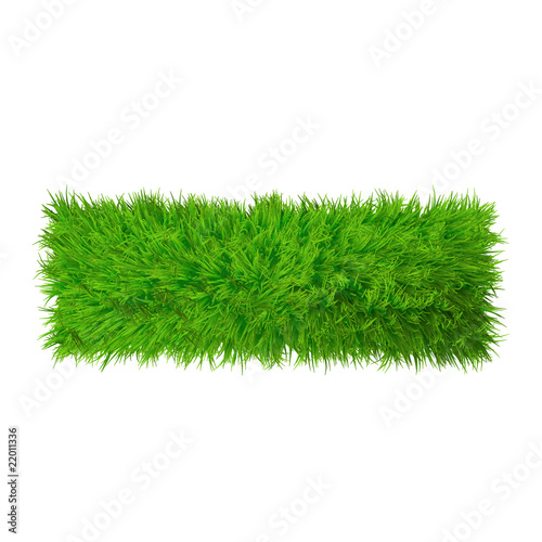 High resolution conceptual grass symbol isolated on white