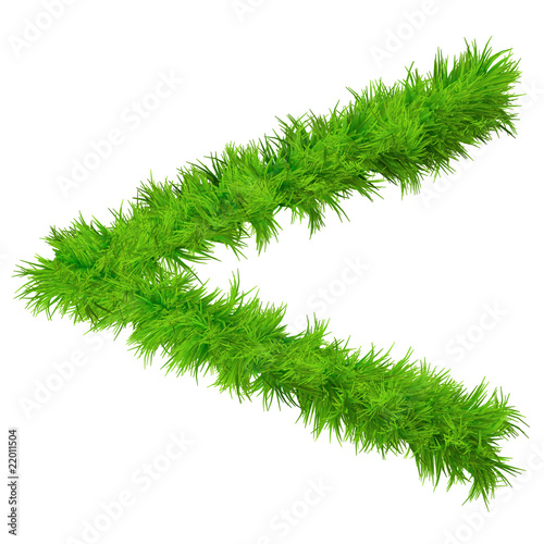 High resolution conceptual grass symbol isolated on white