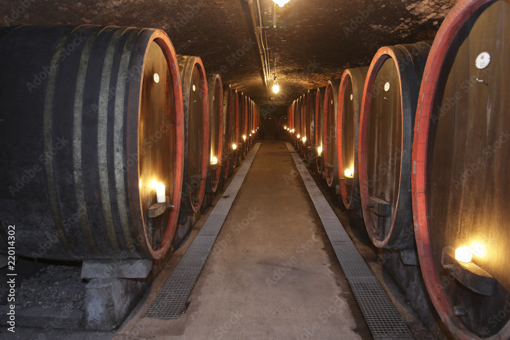 Fototapeta premium Weinkeller