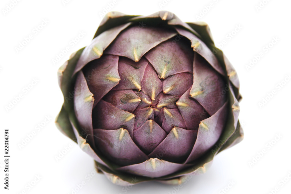 Fototapeta premium artichoke