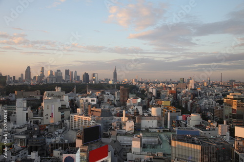 Illuminated Tokyo City in Japan at sunset from high above