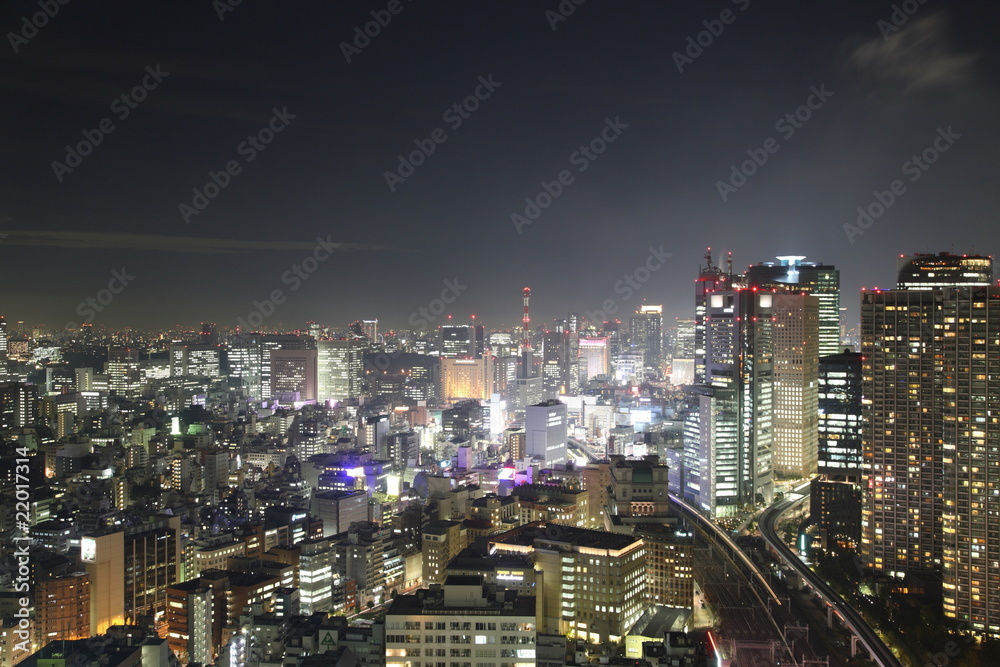 Illuminated Tokyo City in Japan at night from high above