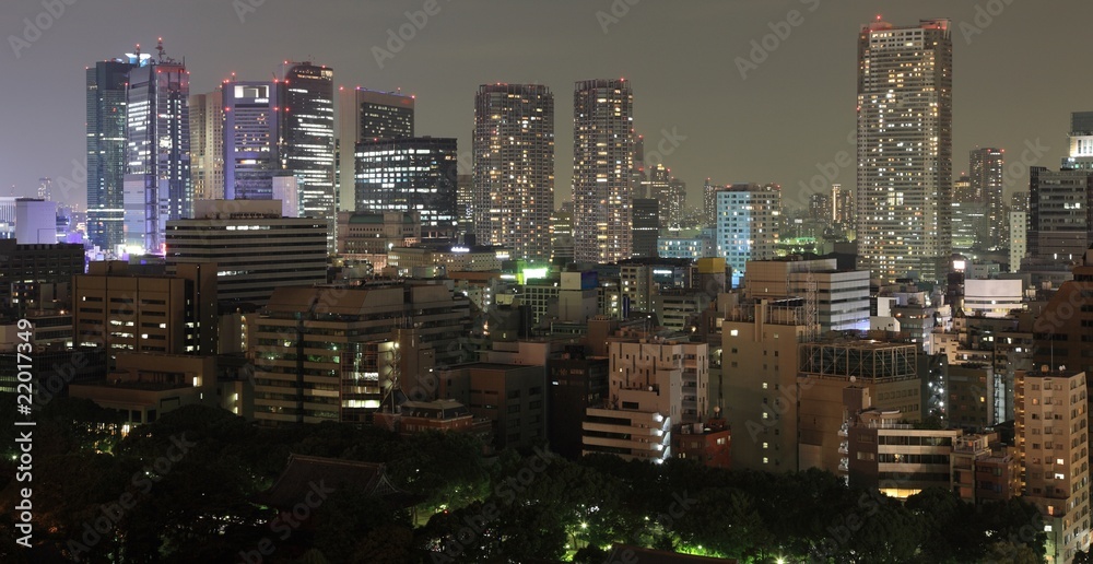 Illuminated Tokyo City in Japan at night from high above Illuminated Tokyo City in Japan at night from high above