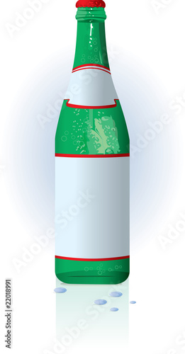 Glass water bottle with blank label