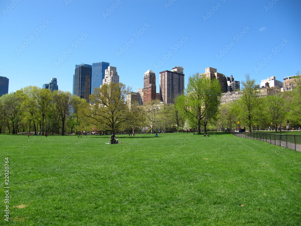 Central Park in Spring