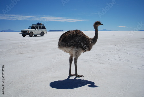 Fotografi Salar de Uyuni