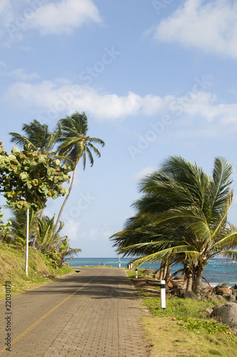 malecon by caribbean sea corn island nicaragua © robert lerich