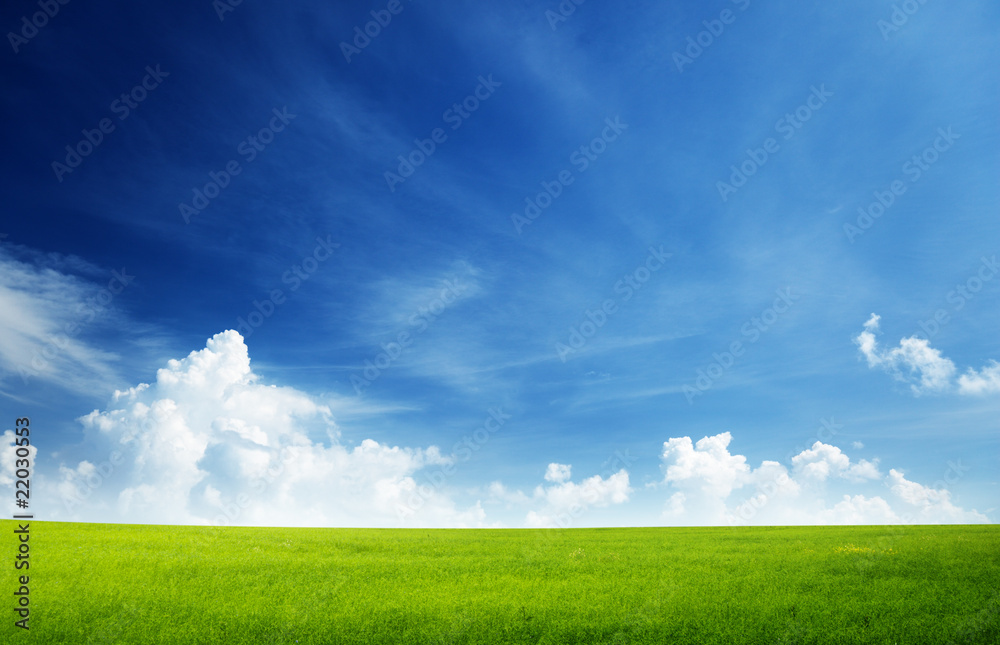 field of grass and perfect sky field of grass and perfect sky