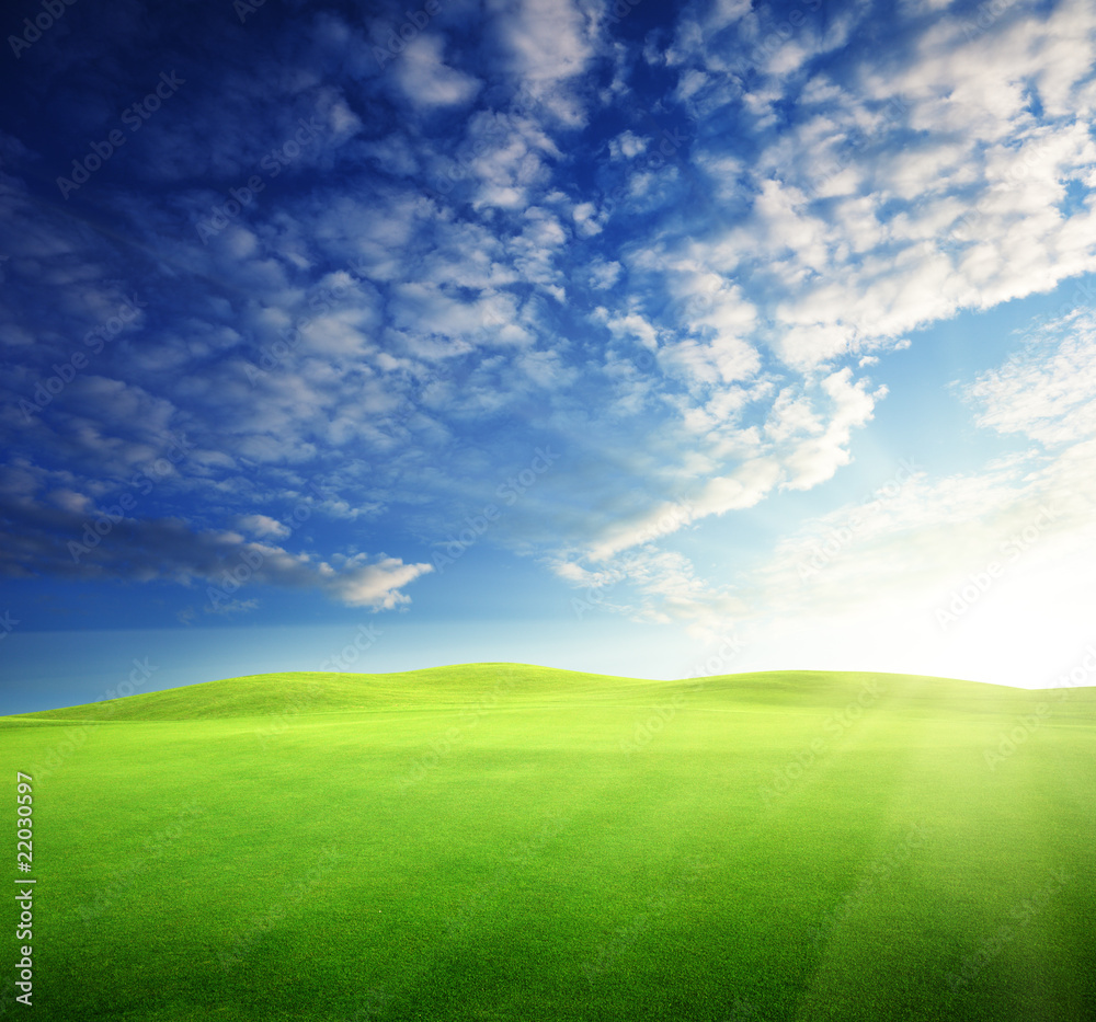 Fototapeta premium field of grass and perfect sunset sky