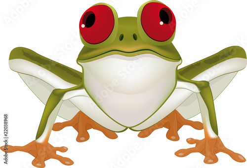 Green toad