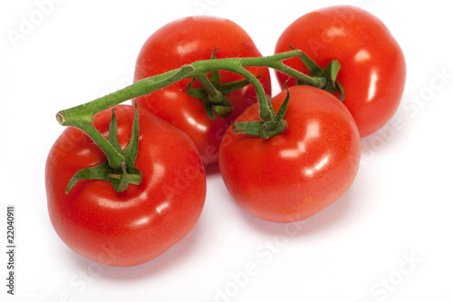 Tomate © thongsee