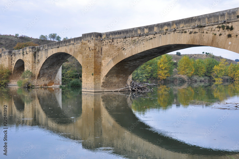 Bridge over Ebro river