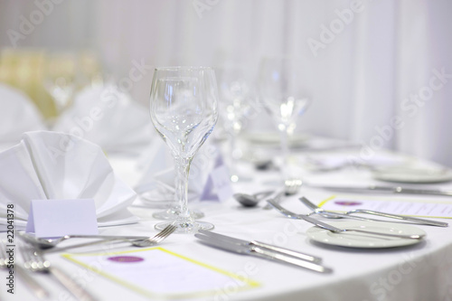 Empty place cards on the festive table © MNStudio