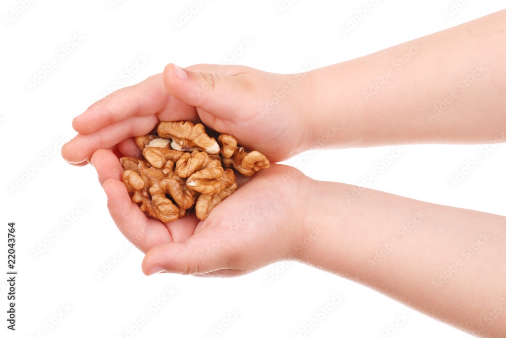 The children's hand holds nuts The children's hand holds nuts