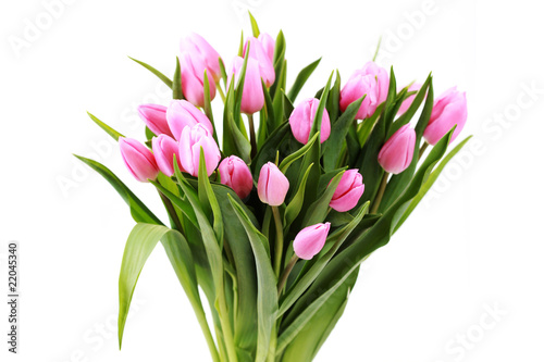 Fototapeta Naklejka Na Ścianę i Meble -  pink