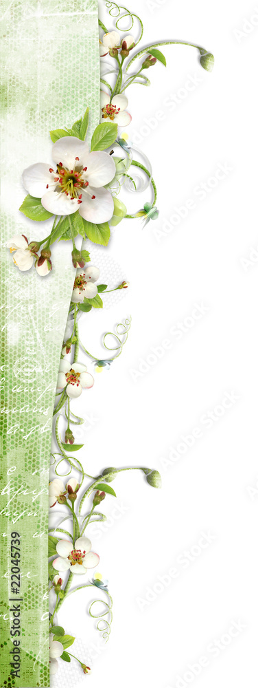 Fototapeta premium green border with apple tree flowers