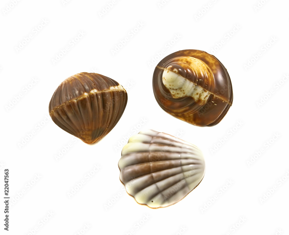 Chocolate seashells Chocolate seashells
