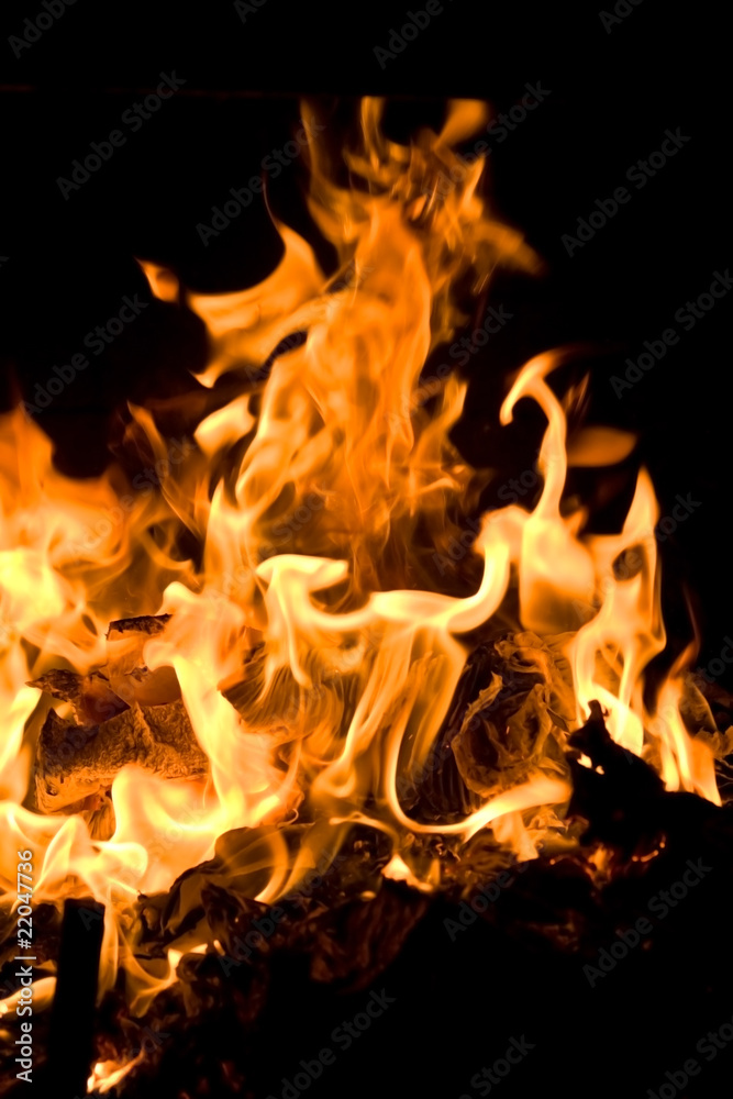 Fototapeta premium Flames of Fire