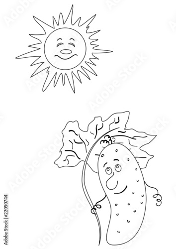 Cucumber and the sun, monochrome