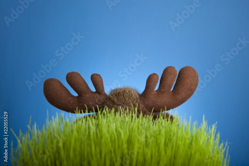 Toy stuffed moose hidden in grass
