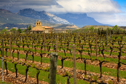 Rioja Winery photo