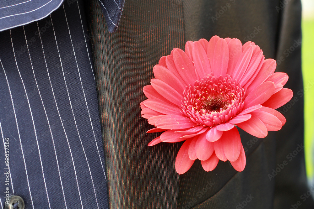 fiore sulla giacca Stock Photo | Adobe Stock