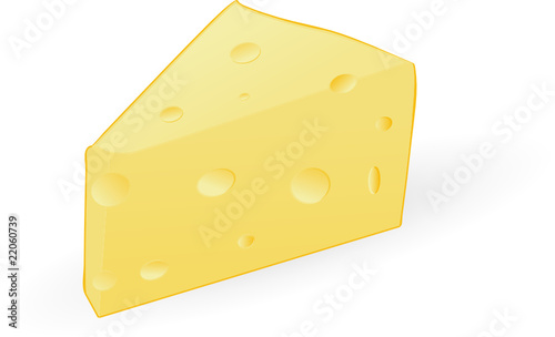fit of cheese isolated on an white background
