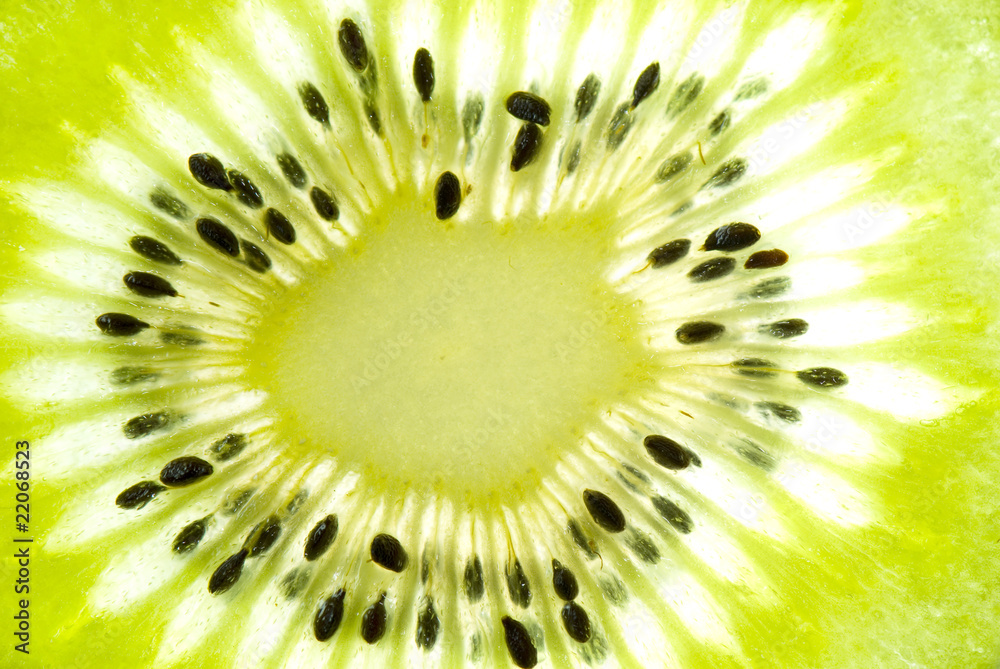 Thin slices of kiwi fruit on white background, isolated Thin slices of kiwi fruit on white background, isolated