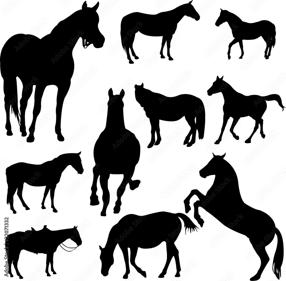 horses silhouettes - vector