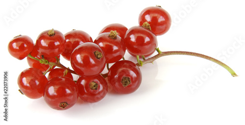 Full focus of Red currant on white background