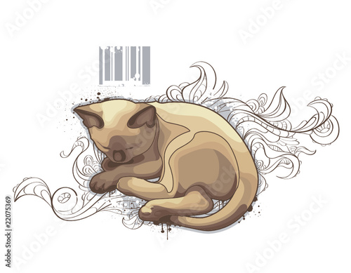 The cat on bizarre background