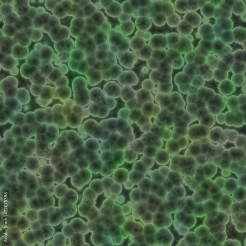 bacteria or cells
