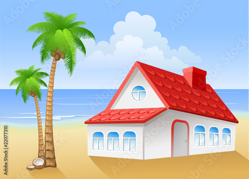 Landscape with palm and house