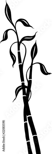 Bambus, Yoga, Wellness, filigran, floral, Ranke