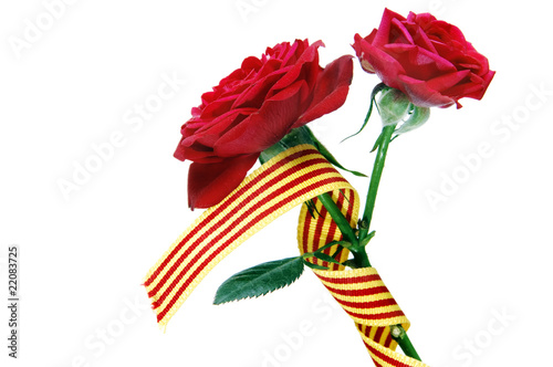 rosa de sant jordi