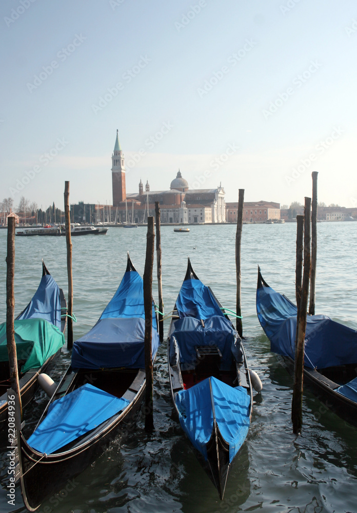 Gondolas moored at St Mark's Square, Venice