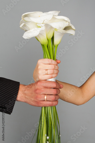 Wedding bands and hands