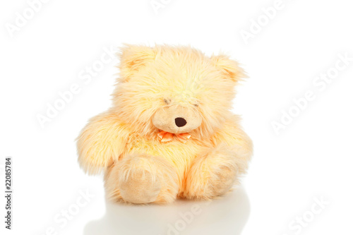 Teddy bear