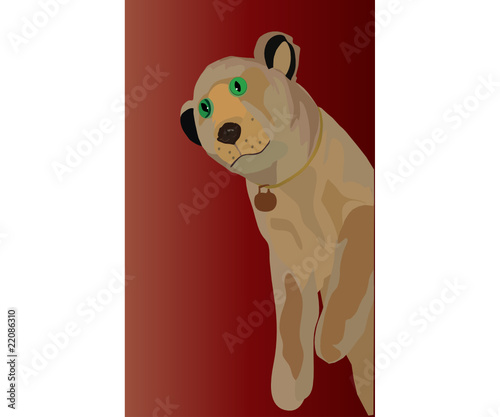 lion cub with green eyes