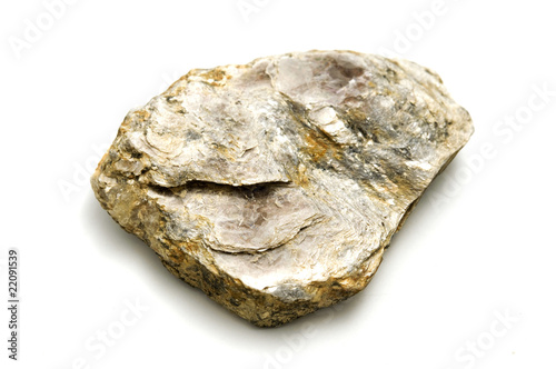 Muscovite photo