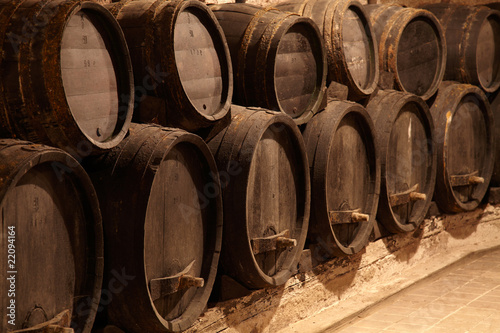 wine casks in winery cellar